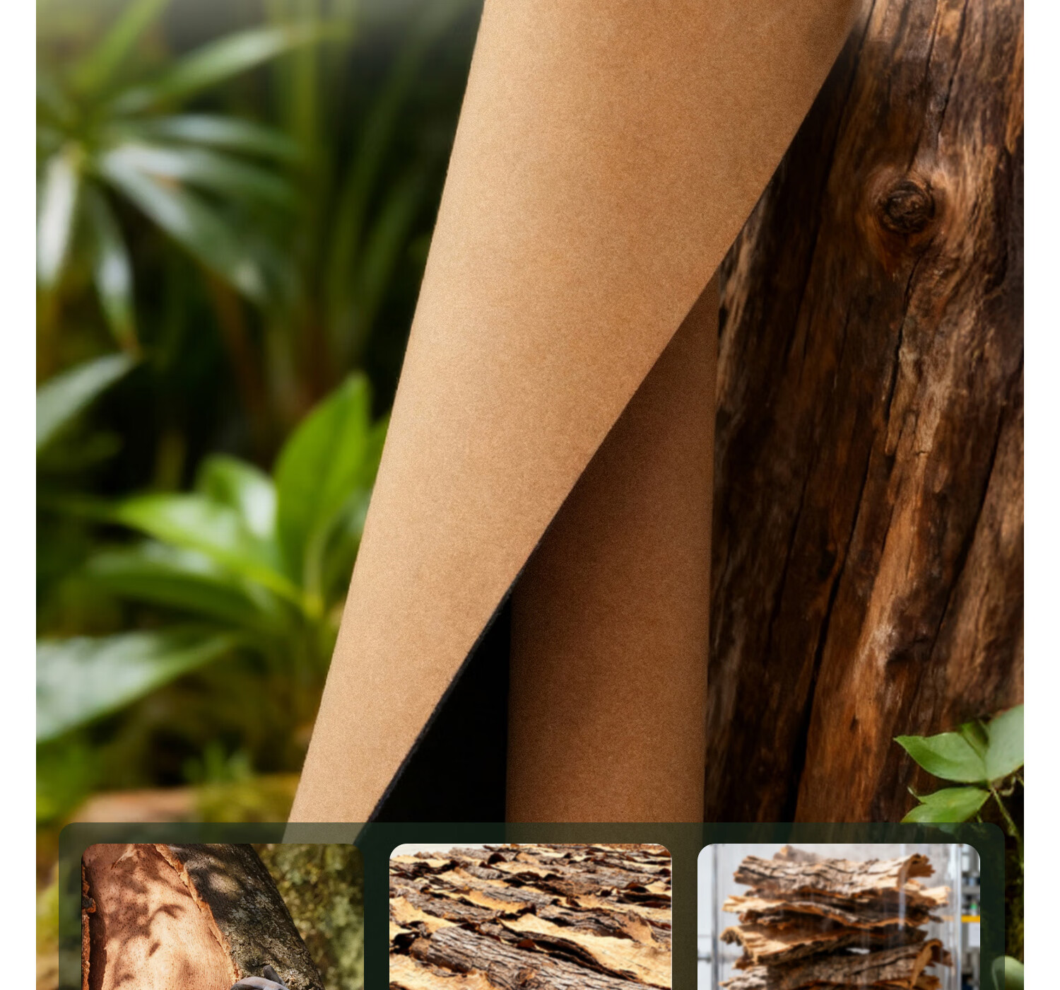 Yottoy Cork Natural Rubber Yoga Mat Fitness Mat Home Use 2025 New Professional Non-Slip Shock Absorption Silent Thickened Sports Mat 5