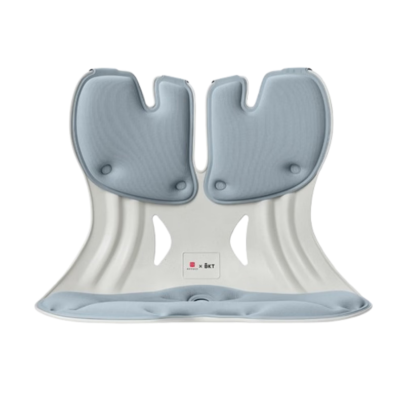 BKT Lumbar Support Cushion Ergonomic Waist Pillow for Long Sitting Car Office Chair Pad Gift for Mom