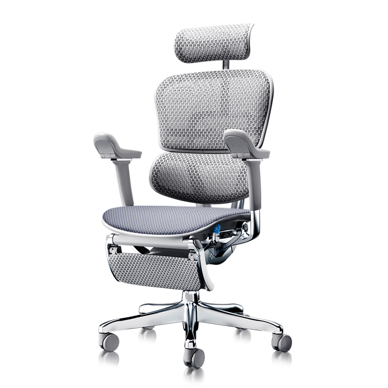 Ergonor Baoyou Jinhao E2 Pro Flagship Ergonomic Office Chair with Silver Cloud Cushion + Recliner Comfort Pad