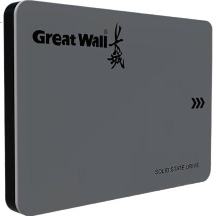 SSD накопитель Great Wall GW560 Series 8TB SATA III