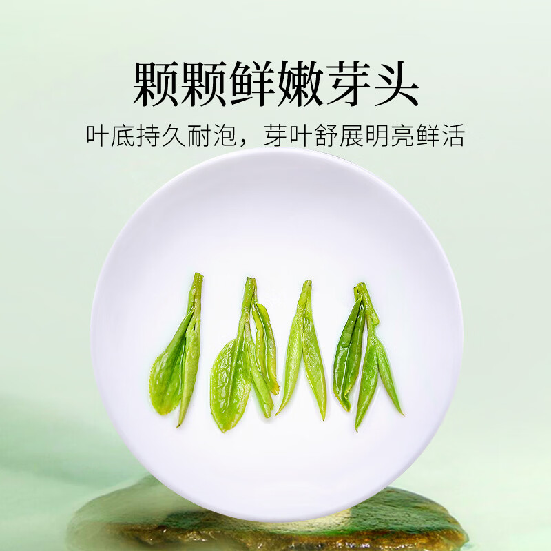 贡苑绿茶正宗龙井茶 豆香250g新茶明前春茶嫩芽散装茶叶自己喝