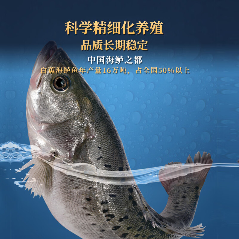 仙泉湖三去白蕉海鲈鱼1斤/条净膛刺少肉厚珠海特产500g海鲜水产生鲜食材