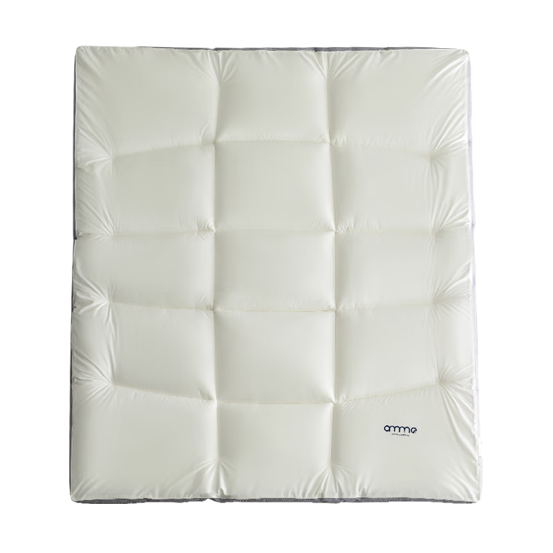 Anmino Anti-Mite Antibacterial Mattress Pad, Soft Mat for Home Use, Anti-Mite Tatami Mat