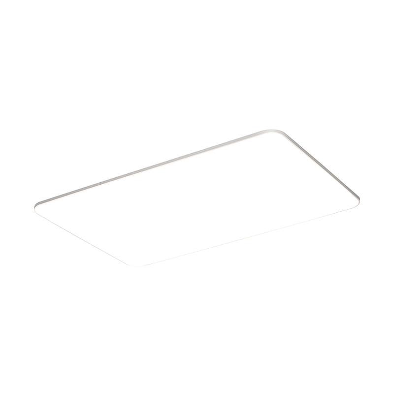 Dell Modern Minimalist Ceiling Light Ultra-Bright LED Eye-Care Living Room Bedroom Dining Lamp Zhongshan Lighting