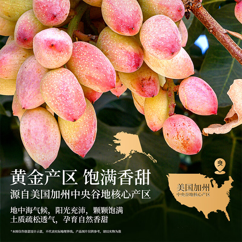 良品铺子美国开心果500g每日坚果干果家庭囤货休闲零食长辈年货节团购送礼