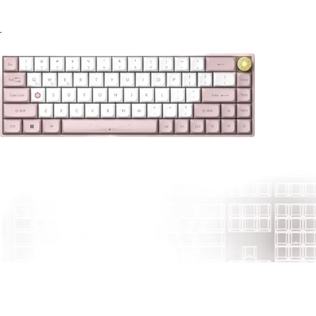 White Image 2