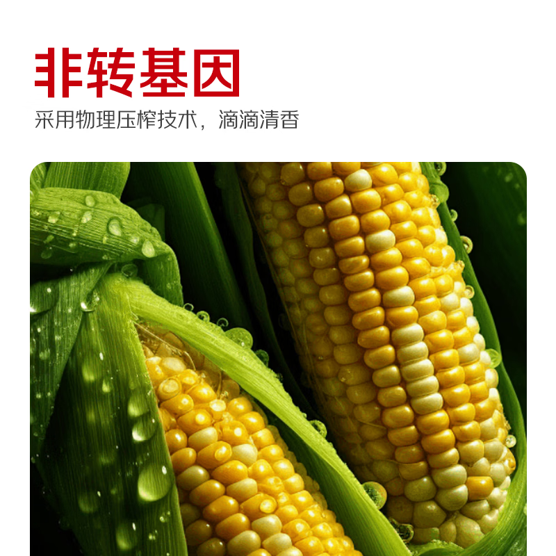 葵王  纯正非转基因玉米油 5L 食用油  送礼优选 