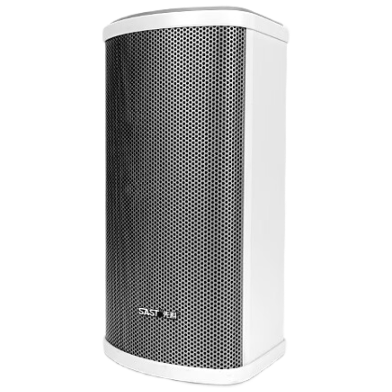 SAST Outdoor Waterproof Column Speaker, Outdoor Constant Voltage Wall-Mounted Loudspeaker, School Shop Park Campus Background Music Horn Public Address System Player 150W