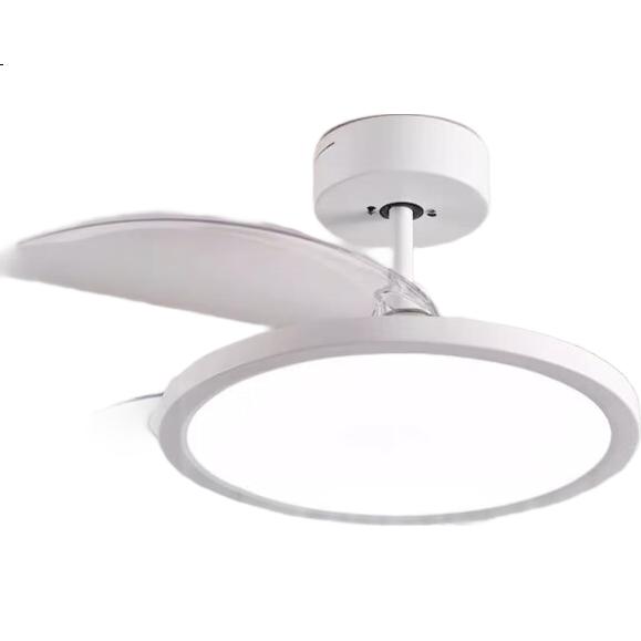 White Image 2