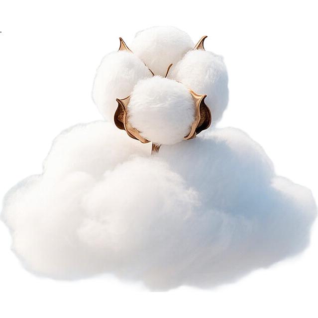Пижама UCHINO, комплект из 100% хлопка, короткий рукав, длинные штаны, летний домашний костюм, дышащая тройная марлевая пижама, фиолетовый, размер 170