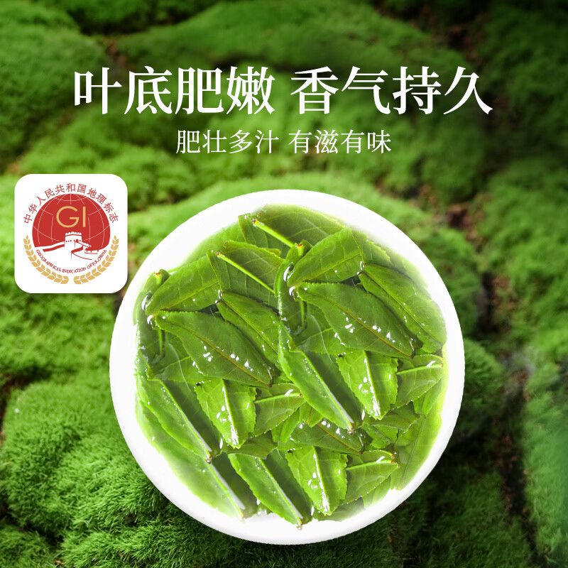 贡苑绿茶六安瓜片250g新茶春茶头采高山正宗安徽散装茶叶自己喝