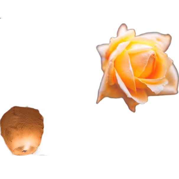White Image 2