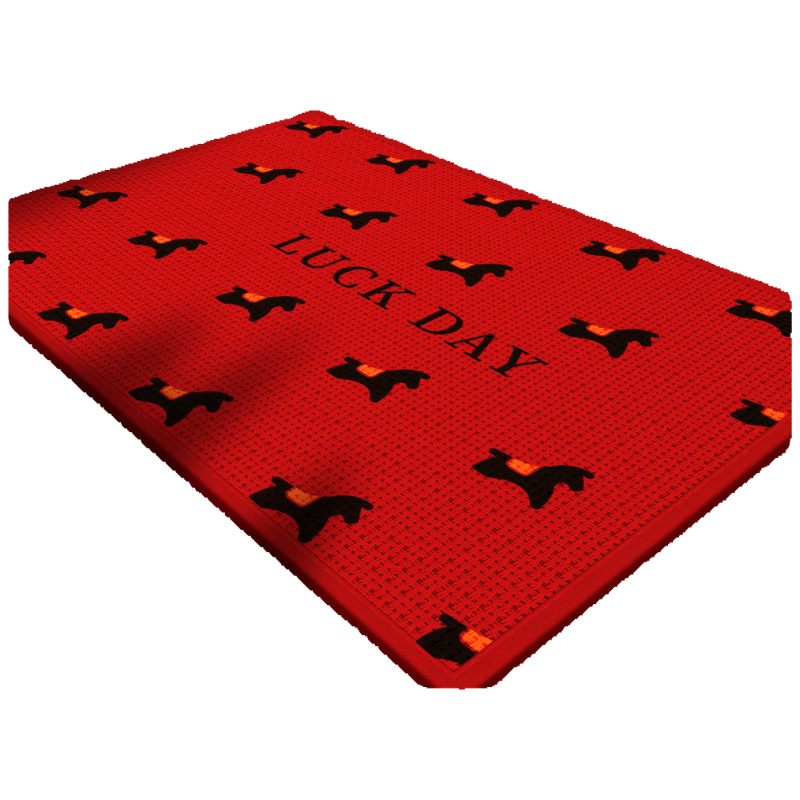Fengliang Premium Entrance Door Mat Non-Slip High-End Customizable Floor Rug