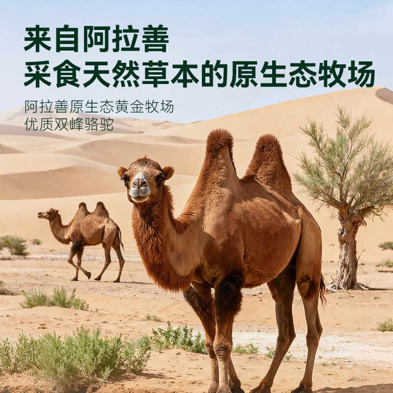 京东京造 鲜来多纯骆驼乳粉300g 100%成人奶粉儿童中老年补品