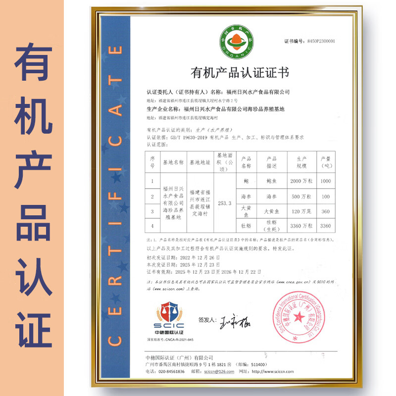 江船长福建大号干鲍鱼礼盒 净重250g20-25粒 煲汤 源头直发