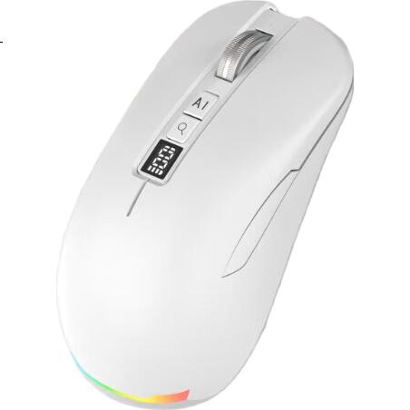 White Image 2