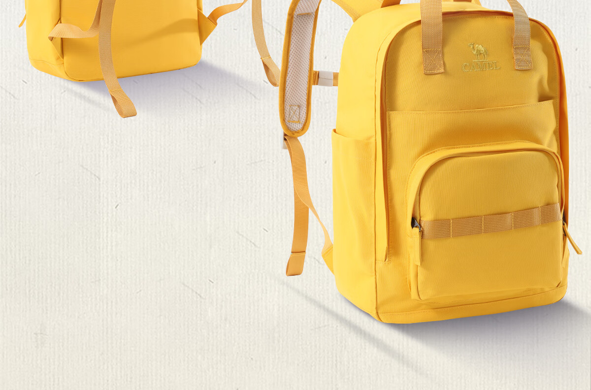 CAMEL Outdoor Lightweight Backpack for Women and Men, Travel Bag, College Student Hiking and Mountaineering Backpack 3064 2