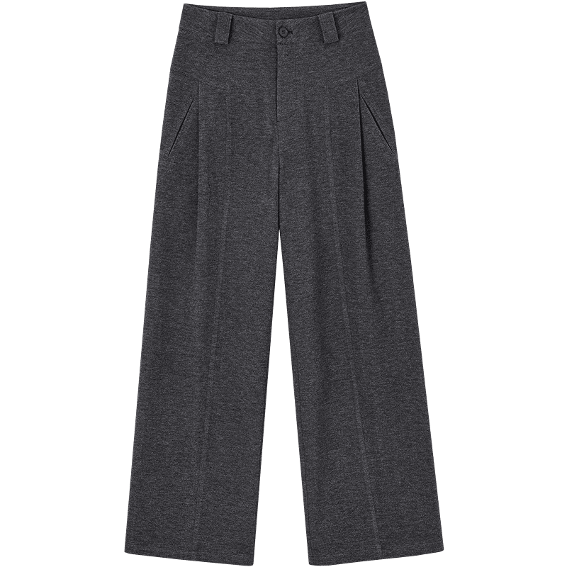 Demana Plush Warmth Autumn Mini Heater Design Pleated Segmented Straight-Leg Petite Women's Casual Pants