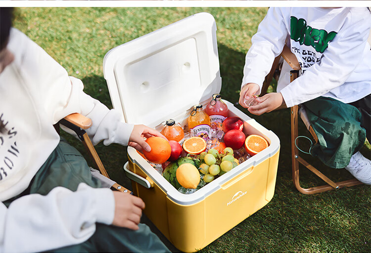 Naturehike Insulated Cooler Box, Ice Storage Box, Outdoor Camping Cooler, Portable Car Refrigerator, Large Capacity 18L 11