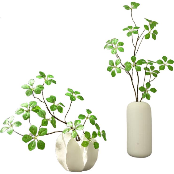 White Image 2