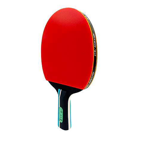 DOUBLE FISH Table Tennis Paddle Black Warrior Set 8-Star Professional Horizontal and Vertical Double-Sided Beginner Racket