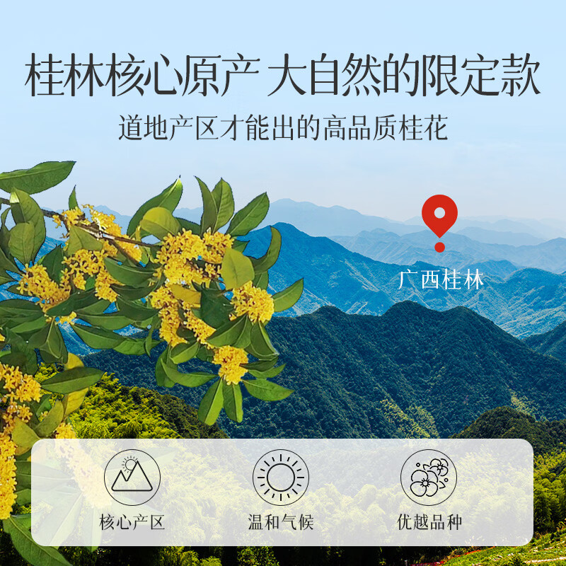 贡苑桂花茶【高档冻干】头茬新花11A桂林原产鲜桂花干泡酒搭菊花茶30g