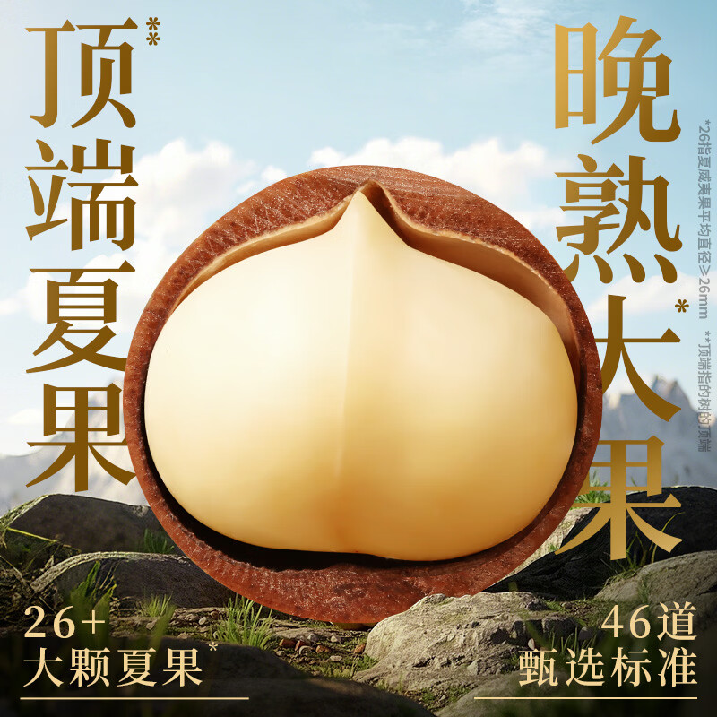 百草味本味甄果高端夏威夷果500g 每日坚果休闲零食干果罐装团购送礼