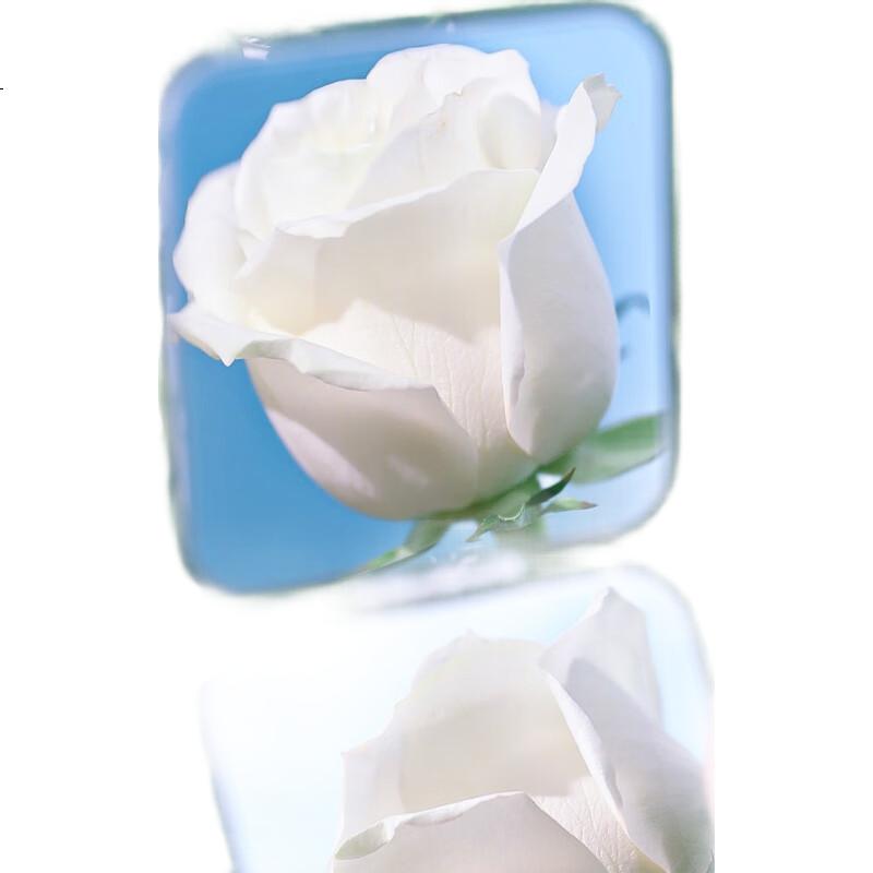 White Image 2