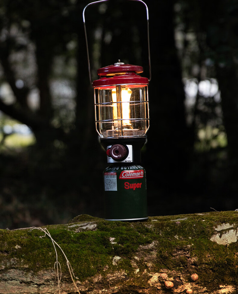 Coleman Rechargeable LED Camping Lantern Waterproof Portable Outdoor Light 800 Lumens Long Battery Life 9