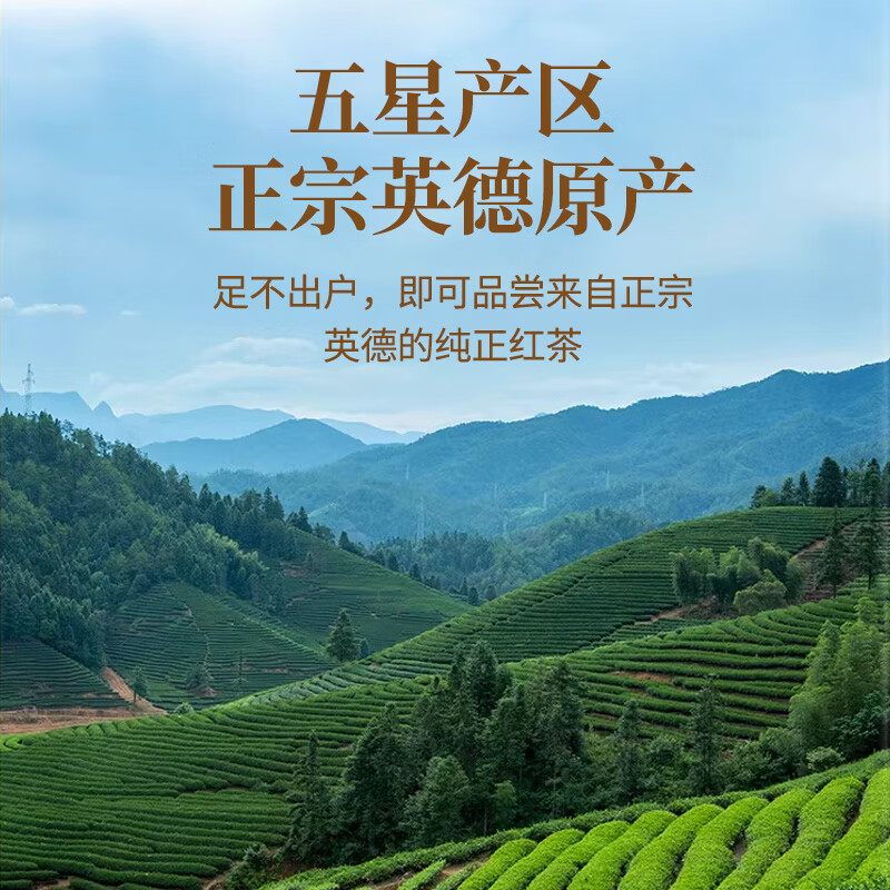 传奇会红茶 英德英红九号 花香型特级250g 罐装茶叶自己喝春节送礼年货