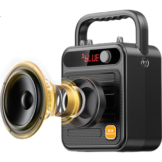 Портативная Bluetooth-колонка NINTAUS S59 с микрофоном, караоке, для улицы, дома