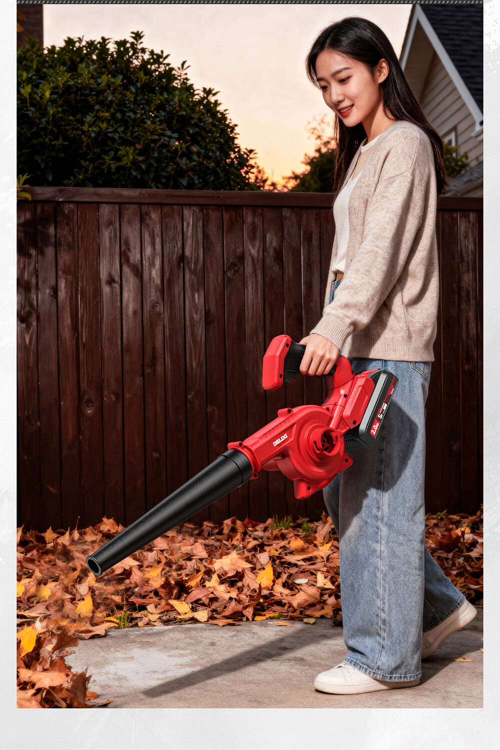 DELIXI ELECTRIC Lithium Battery Blower Snow Blower Dust Removal Household Electric Blower Tool 23