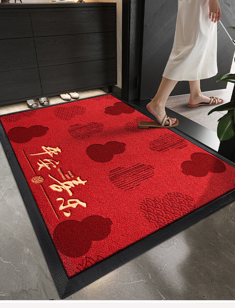 Fengliang Premium Entrance Door Mat Non-Slip High-End Floor Carpet 90x120cm 18