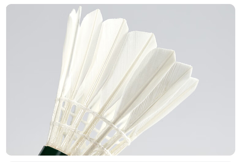 Kawasaki Badminton Shuttlecocks, True Dragon 800, Stable And Durable, for Advanced Competition And Training, Pack of 12 13