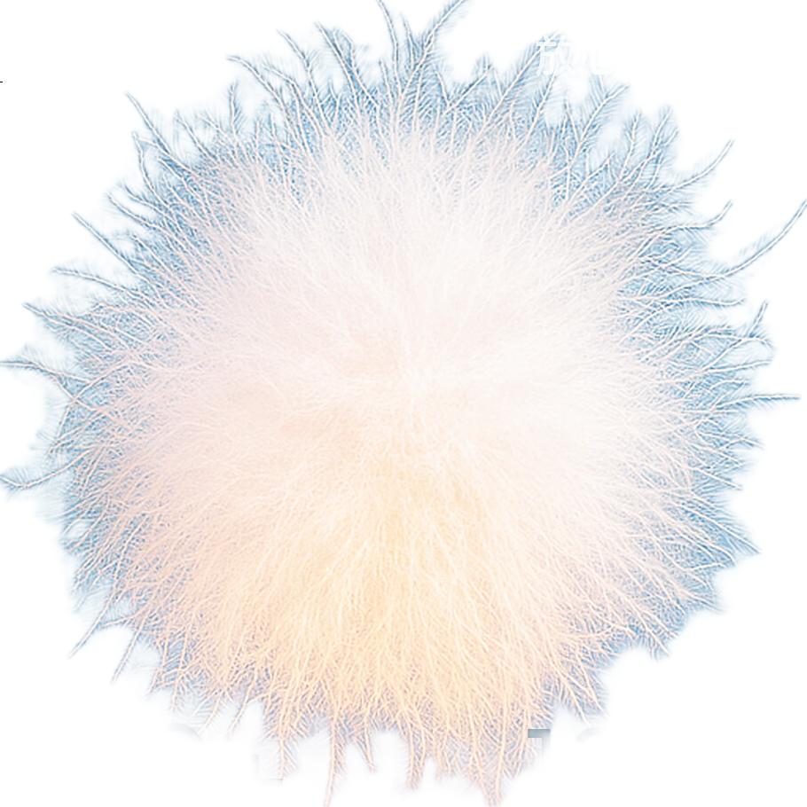 White Image 2