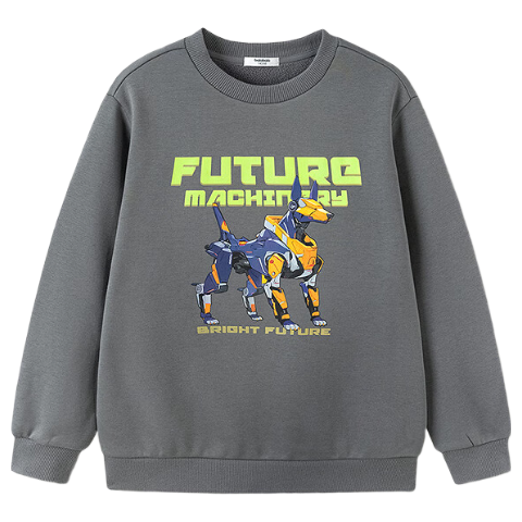 Balabala BalaOne Boys' Fleece-Lined Warm Casual Sweatshirt 2025 Winter Kids' Clothing 208425121101