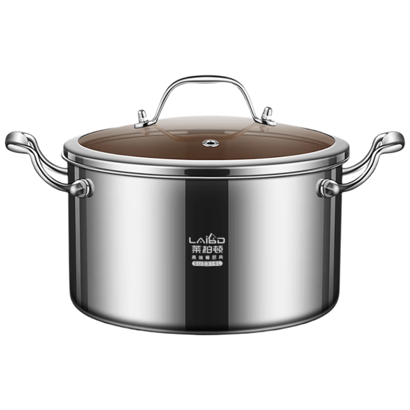 Laiboton Baby-Grade 316L Stainless Steel Soup Pot, Non-Coated Stewing Pot for Porridge and Noodle Cooking, 22cm, Compatible with Gas and Induction Stoves