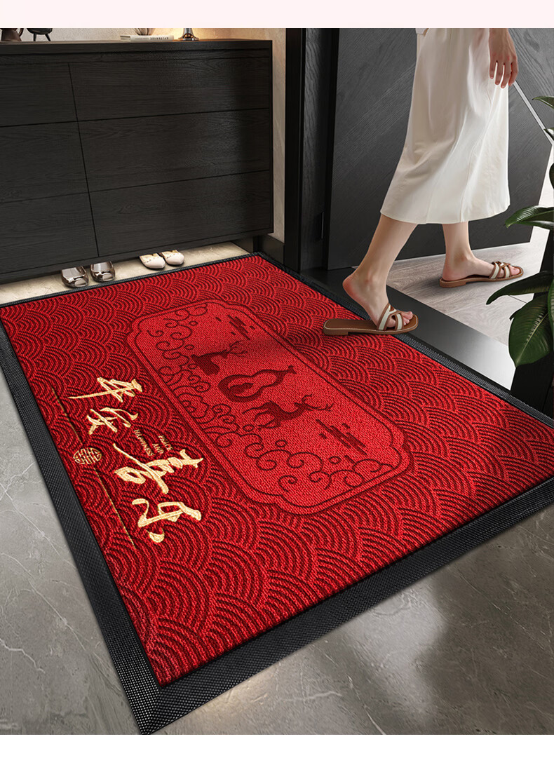 Fengliang Premium Entrance Door Mat Non-Slip High-End Floor Carpet 90x120cm 17