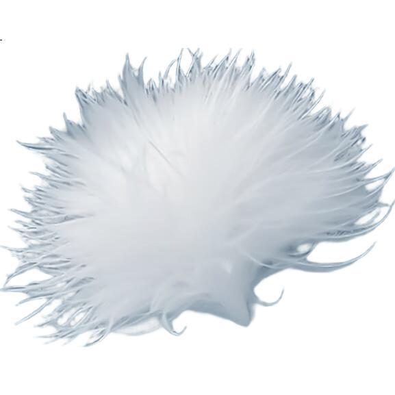 White Image 1