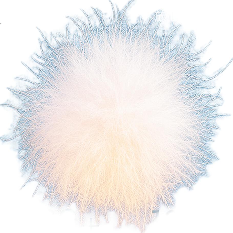 White Image 3