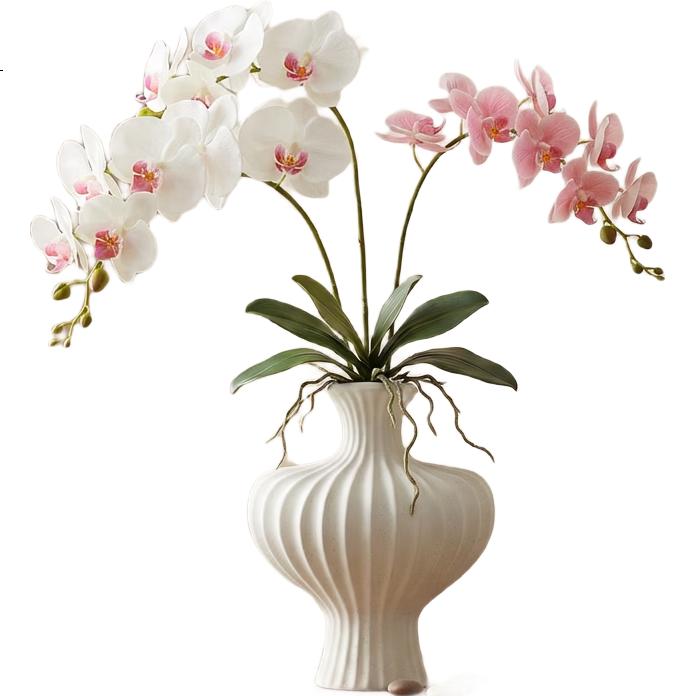 White Image 1