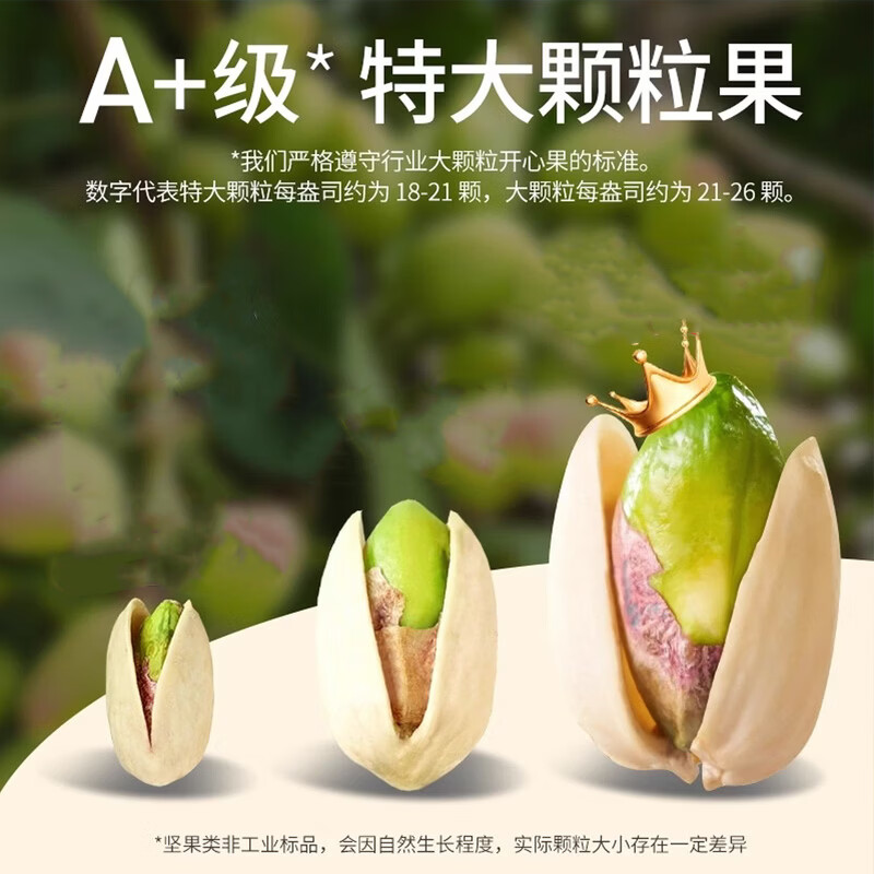 憨豆熊原色开心果400g/罐 每日坚果炒货年货礼盒休闲零食年货送礼