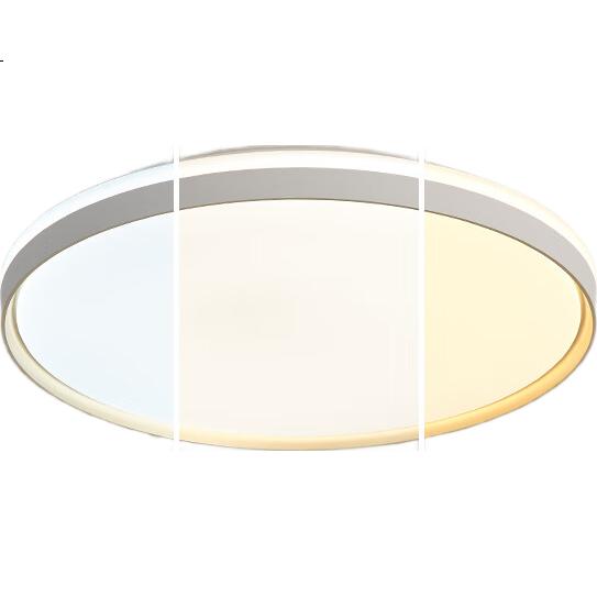 Потолочный светильник FSL Foshan Lighting, современный простой дизайн, 48 Вт, с тремя регулируемыми цветами