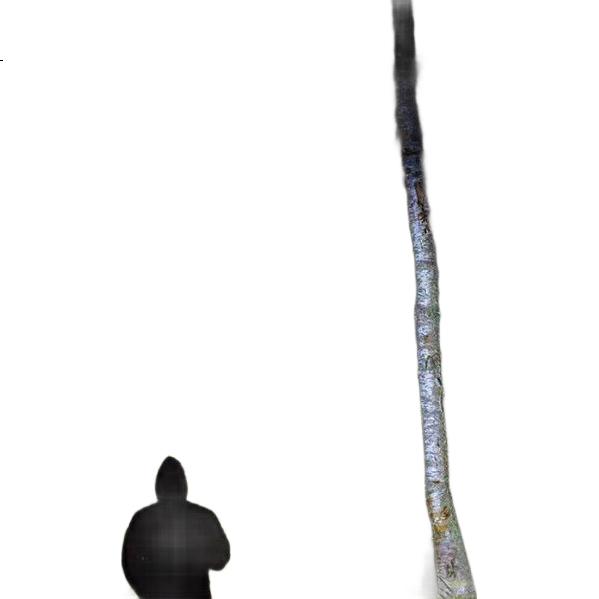 White Image 3