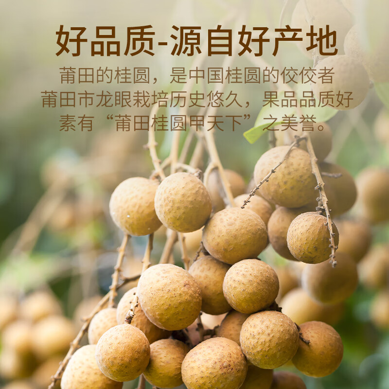 金唐莆田桂圆干500g 龙眼干带壳桂圆肉 莲子百合银耳羹煲汤甜羹食材