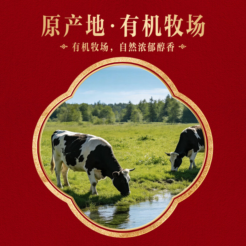 伊利金典3.8g乳蛋白有机全脂纯奶250ml*10盒新老包装随机 礼盒装