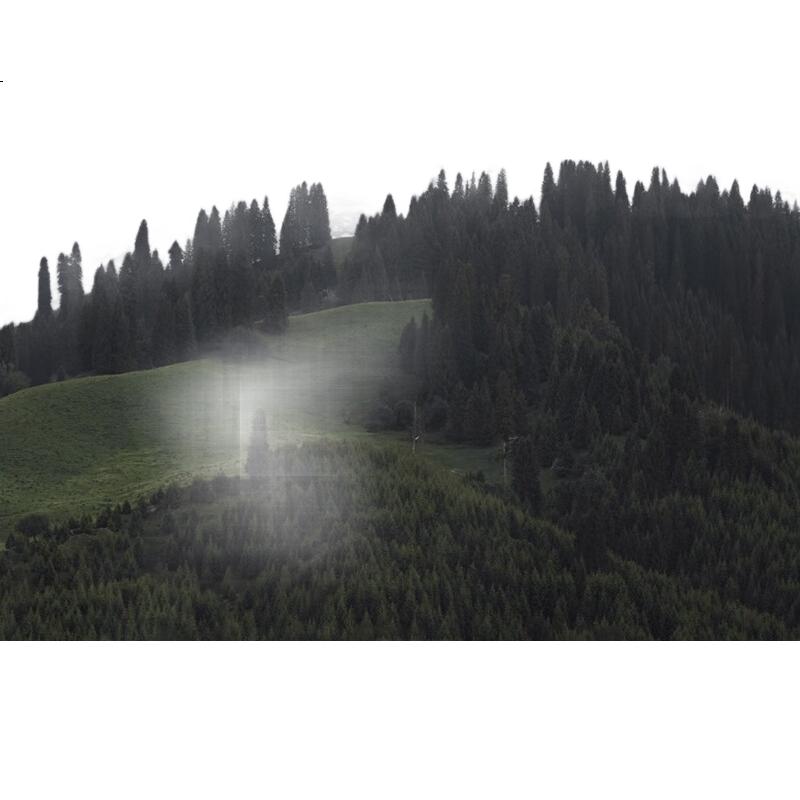 White Image 1