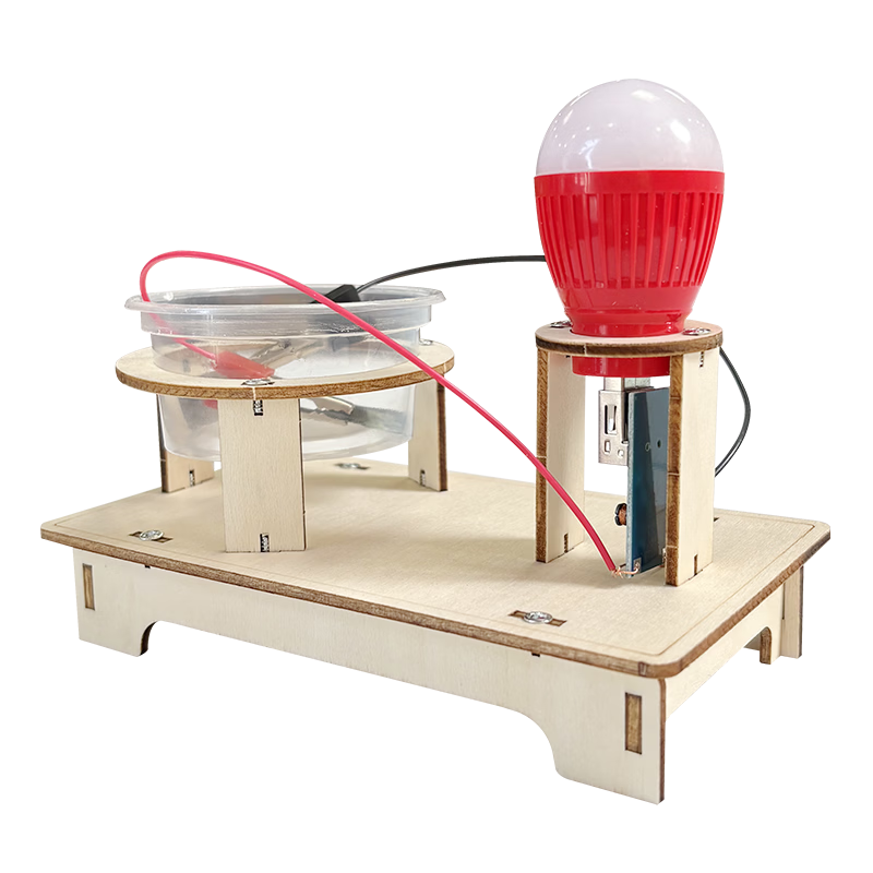 Big Eye Little Kid Saltwater Power Lamp Science Experiment Kit Children's STEM DIY Toy Gift for Boys and Girls