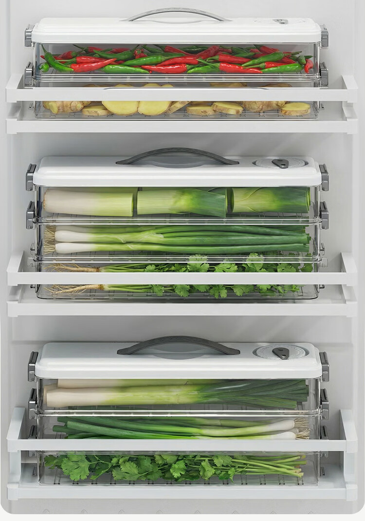 Jiabangshu Cilantro and Scallion Storage Box Refrigerator Gap Fresh-Keeping Box Odor-Proof Divided Dumpling Freezer Box 3-Layer 1
