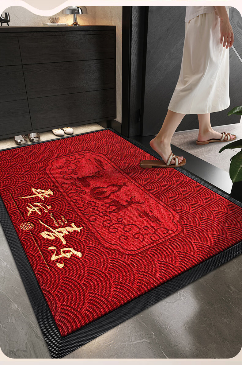 Fengliang Premium Entrance Door Mat Non-Slip High-End Floor Carpet 90x120cm 2